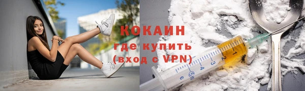 дмт Болотное