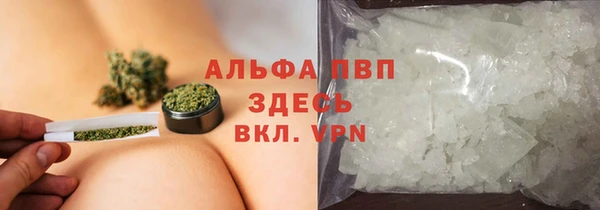 хмурый Михайлов