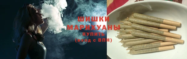 сатива Михайловск
