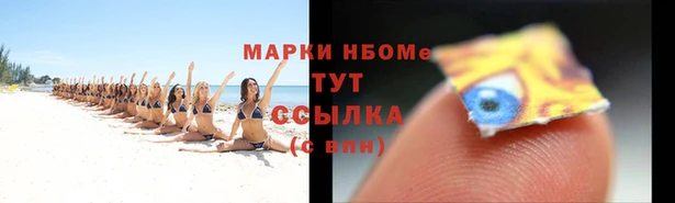 дмт Болотное
