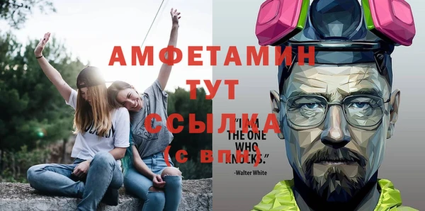 дмт Болотное